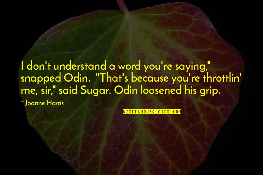 Don Understand Me Quotes By Joanne Harris: I don't understand a word you're saying," snapped