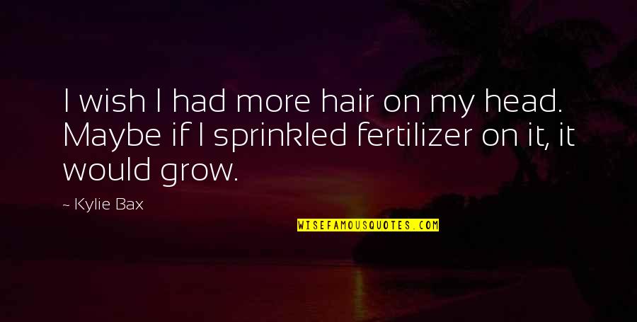 Don Vito Genovese Quotes By Kylie Bax: I wish I had more hair on my Don Vito Genovese Quotes By Kylie Bax: I wish I had more hair on my