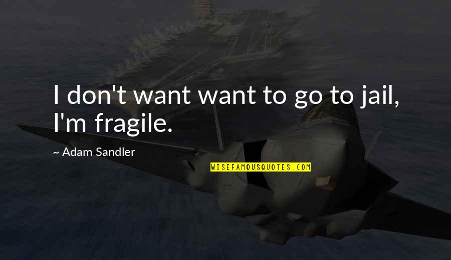 Don Want To Be Without You Quotes By Adam Sandler: I don't want want to go to jail,