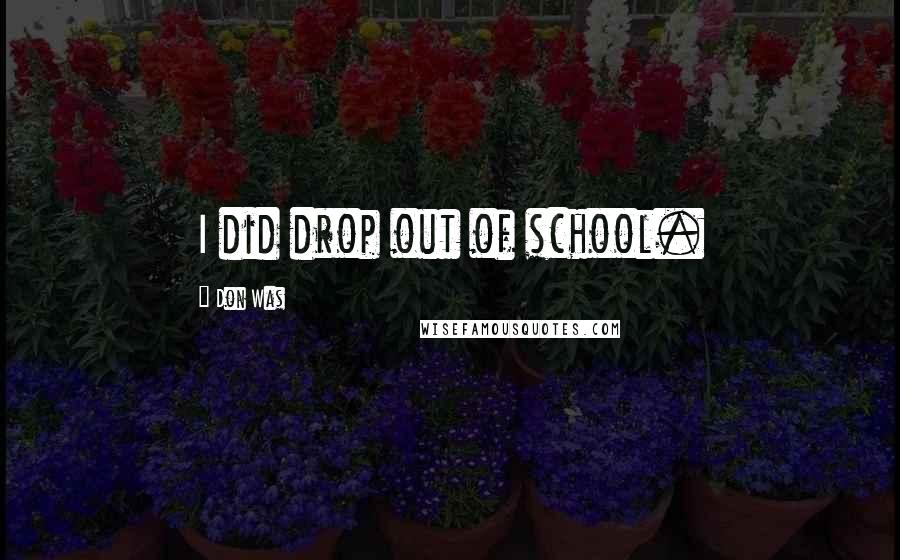 Don Was quotes: I did drop out of school.