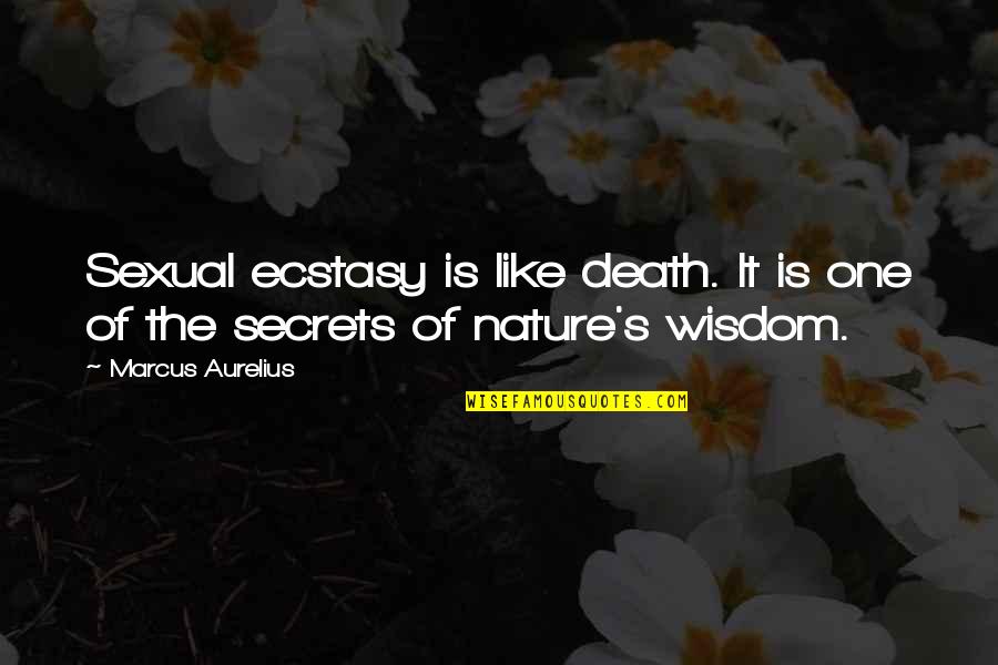 Donald And Jacqueline Stewart Quotes By Marcus Aurelius: Sexual ecstasy is like death. It is one