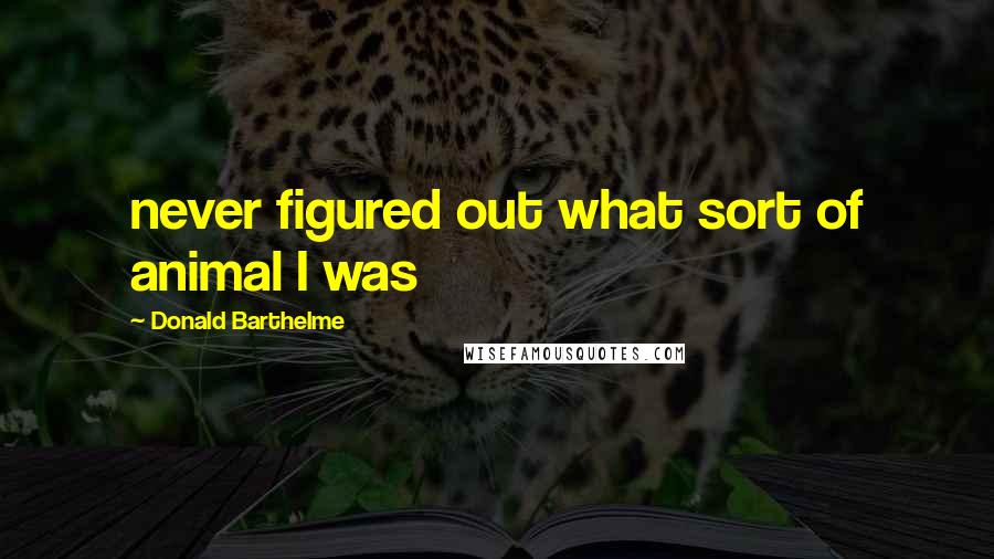 Donald Barthelme quotes: never figured out what sort of animal I was