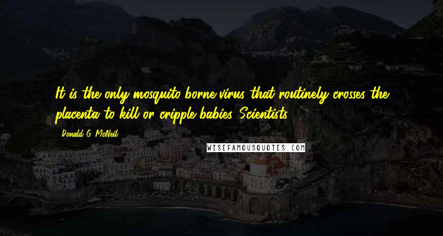 Donald G. McNeil quotes: It is the only mosquito-borne virus that routinely crosses the placenta to kill or cripple babies. Scientists