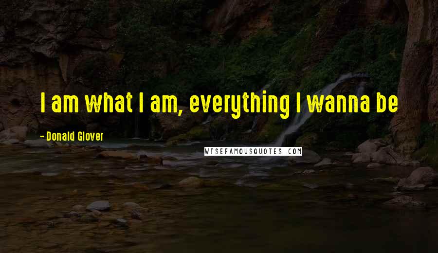 Donald Glover quotes: I am what I am, everything I wanna be