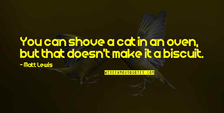 Donald Kalsched Quotes By Matt Lewis: You can shove a cat in an oven,