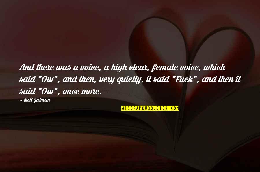 Donald Moatshe Quotes By Neil Gaiman: And there was a voice, a high clear,
