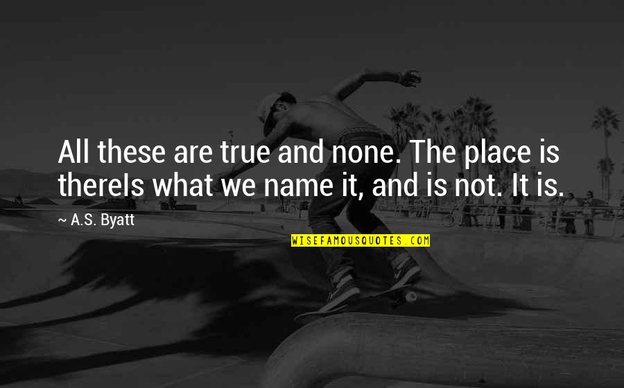 Donald Trump Hateful Quotes By A.S. Byatt: All these are true and none. The place