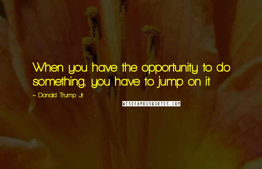 Donald Trump Jr. quotes: When you have the opportunity to do something, you have to jump on it.