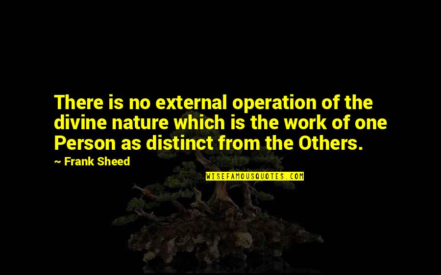 Donation Request Quotes By Frank Sheed: There is no external operation of the divine