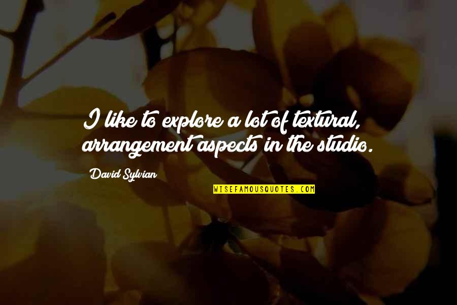 Donazione Airc Quotes By David Sylvian: I like to explore a lot of textural,