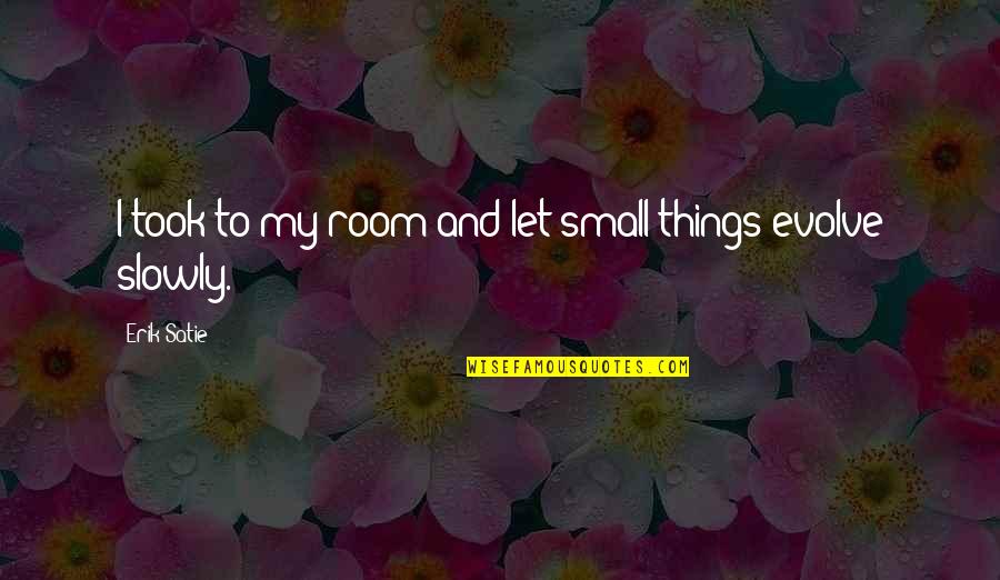 Donder Reindeer Quotes By Erik Satie: I took to my room and let small