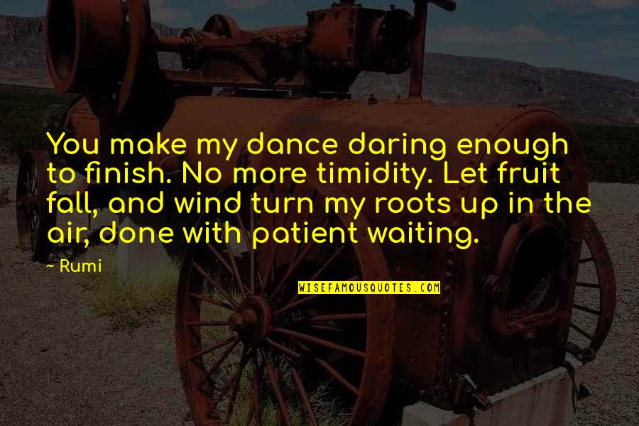 Done Waiting Quotes By Rumi: You make my dance daring enough to finish.