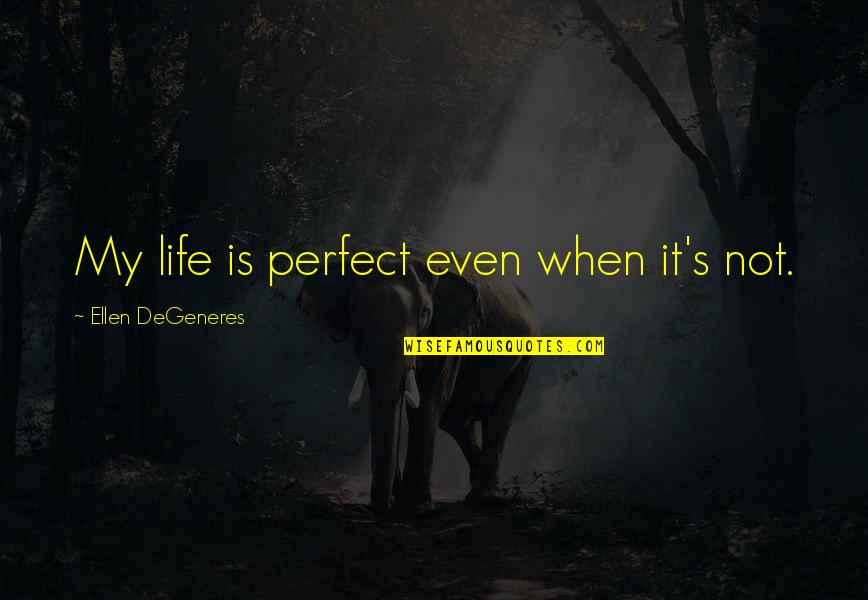 Donegal Quotes By Ellen DeGeneres: My life is perfect even when it's not. Donegal Quotes By Ellen DeGeneres: My life is perfect even when it's not.