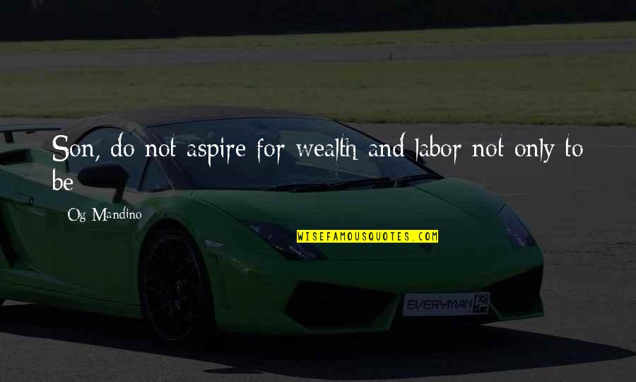 Donehoo Funeral Home Quotes By Og Mandino: Son, do not aspire for wealth and labor