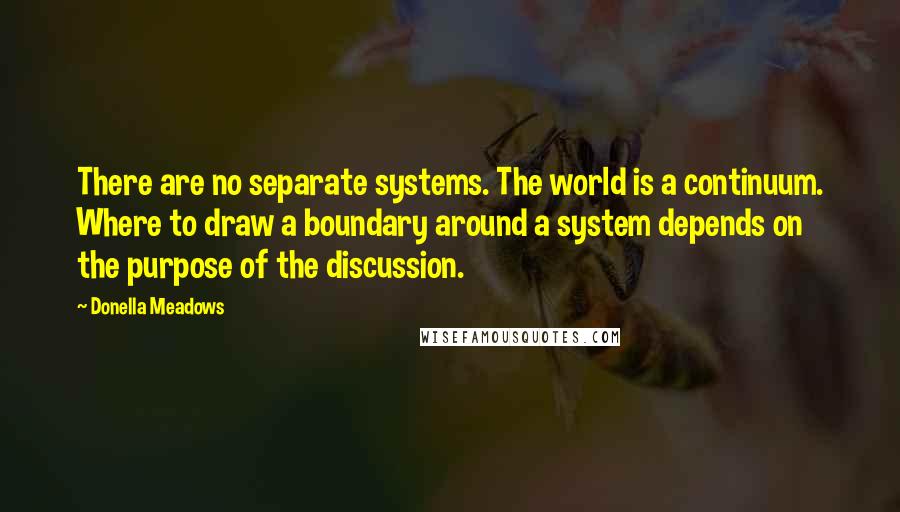 Donella Meadows quotes: There are no separate systems. The world is a continuum. Where to draw a boundary around a system depends on the purpose of the discussion.