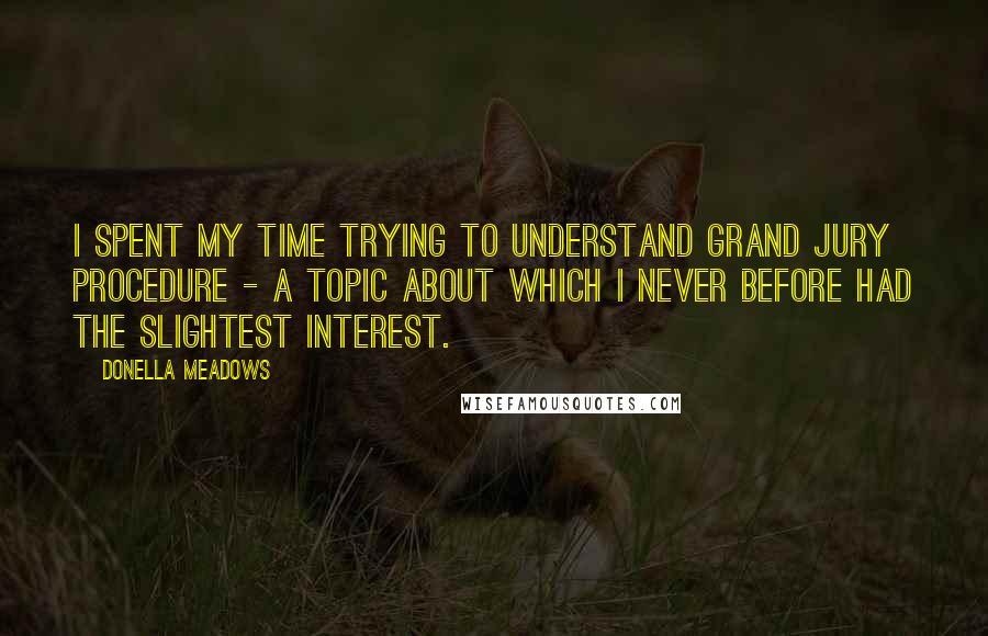 Donella Meadows quotes: I spent my time trying to understand grand jury procedure - a topic about which I never before had the slightest interest.