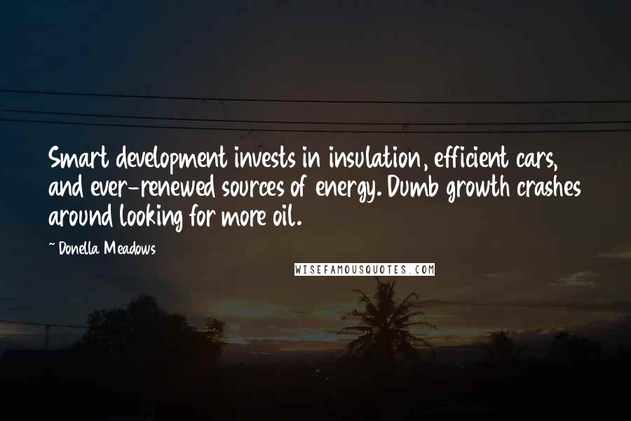 Donella Meadows quotes: Smart development invests in insulation, efficient cars, and ever-renewed sources of energy. Dumb growth crashes around looking for more oil.