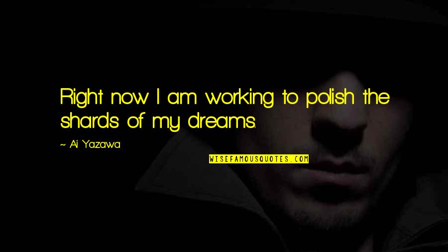 Donette Johnson Quotes By Ai Yazawa: Right now I am working to polish the