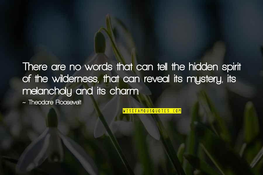 Donette Johnson Quotes By Theodore Roosevelt: There are no words that can tell the