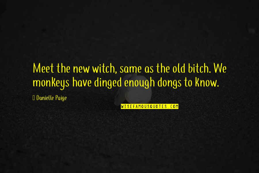 Dongs Quotes By Danielle Paige: Meet the new witch, same as the old