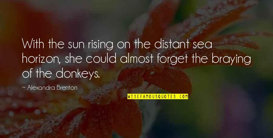 Donkeys Best Quotes By Alexandra Brenton: With the sun rising on the distant sea