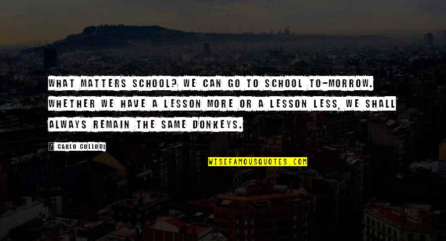 Donkeys Best Quotes By Carlo Collodi: What matters school? We can go to school