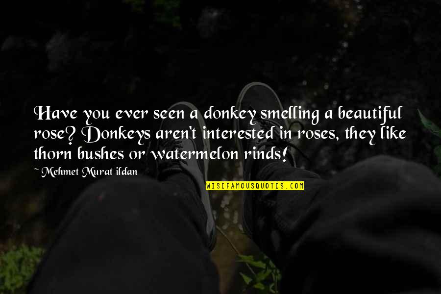 Donkeys Best Quotes By Mehmet Murat Ildan: Have you ever seen a donkey smelling a