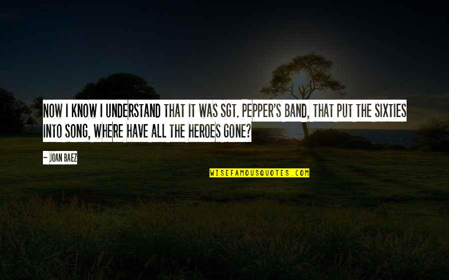 Donkies Quotes By Joan Baez: Now I know I understand that it was Donkies Quotes By Joan Baez: Now I know I understand that it was