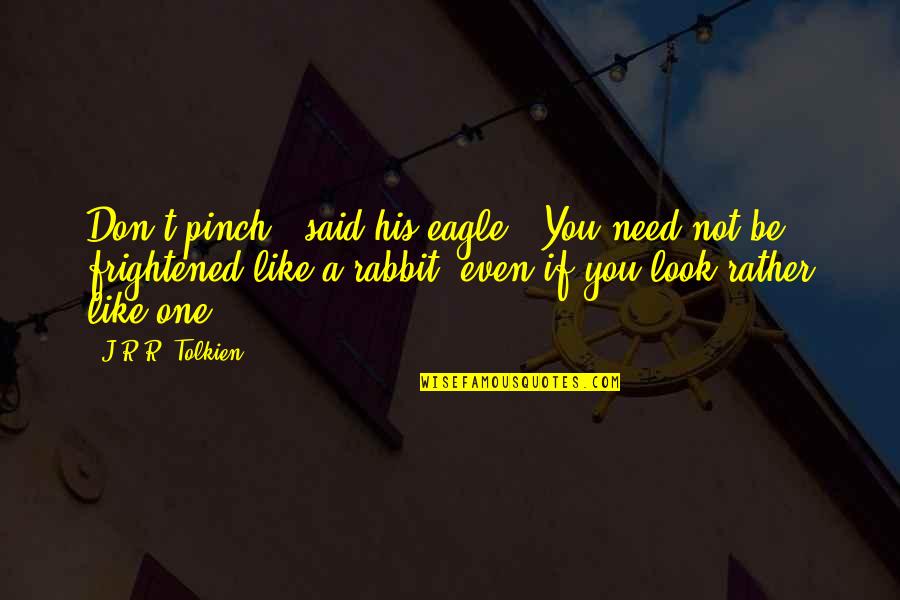 Donna Hedges Quotes By J.R.R. Tolkien: Don't pinch!" said his eagle. "You need not