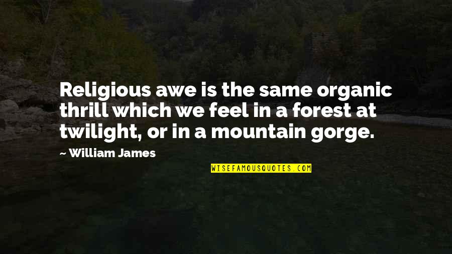 Donnah Quotes By William James: Religious awe is the same organic thrill which