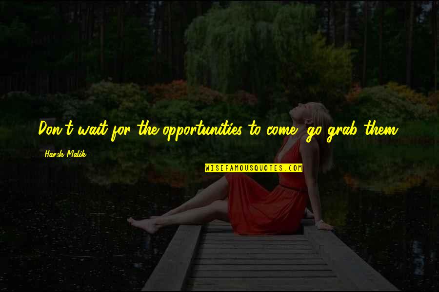 Donnaleigh De Larose Quotes By Harsh Malik: Don't wait for the opportunities to come, go Donnaleigh De Larose Quotes By Harsh Malik: Don't wait for the opportunities to come, go