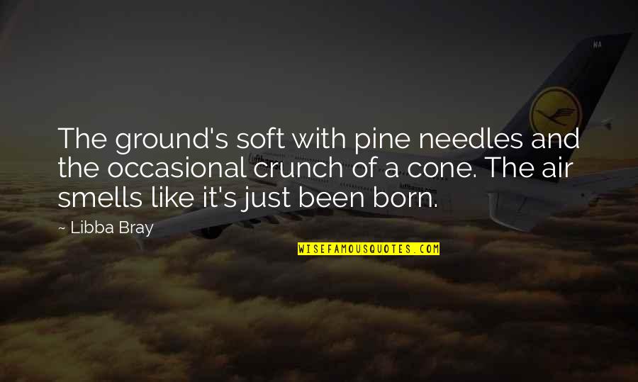 Donnette Hicks Quotes By Libba Bray: The ground's soft with pine needles and the