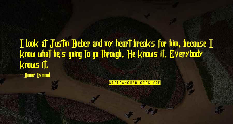 Donny Quotes By Donny Osmond: I look at Justin Bieber and my heart Donny Quotes By Donny Osmond: I look at Justin Bieber and my heart
