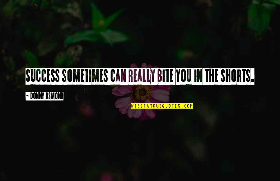 Donny Quotes By Donny Osmond: Success sometimes can really bite you in the Donny Quotes By Donny Osmond: Success sometimes can really bite you in the