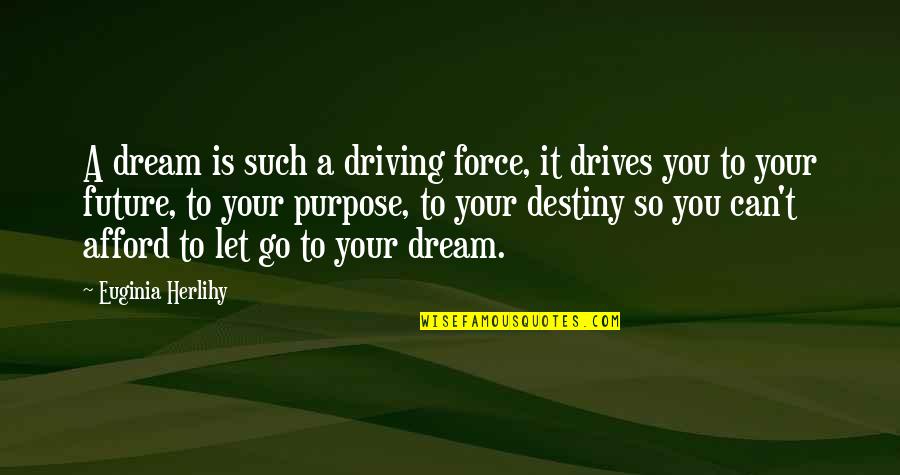 Donono Quotes By Euginia Herlihy: A dream is such a driving force, it