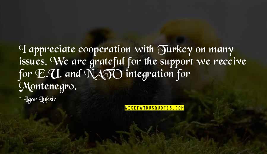 Donor Wall Quotes By Igor Luksic: I appreciate cooperation with Turkey on many issues.
