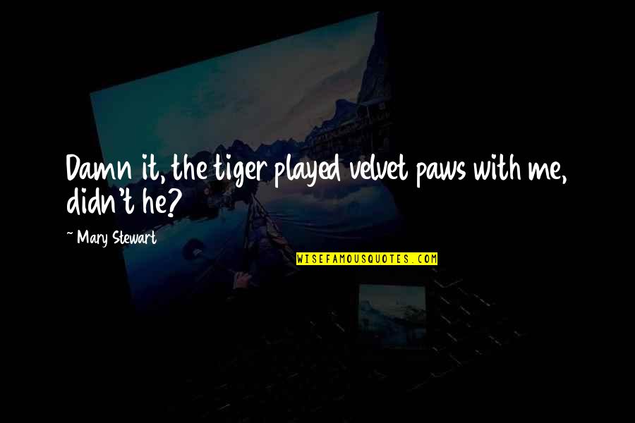 Dons Plum Quotes By Mary Stewart: Damn it, the tiger played velvet paws with Dons Plum Quotes By Mary Stewart: Damn it, the tiger played velvet paws with