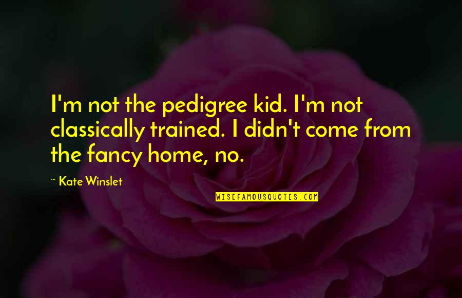 Dont Ask Stupid Questions Quotes By Kate Winslet: I'm not the pedigree kid. I'm not classically