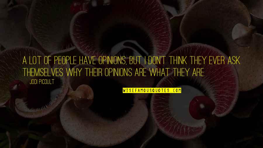 Don't Ask Why Quotes By Jodi Picoult: A lot of people have opinions, but I