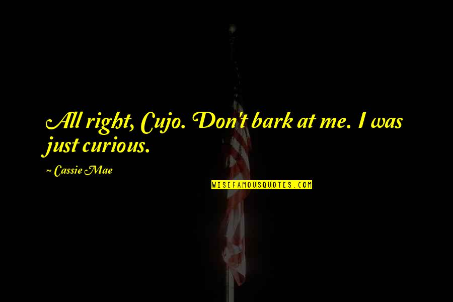 Don't Bark Quotes By Cassie Mae: All right, Cujo. Don't bark at me. I