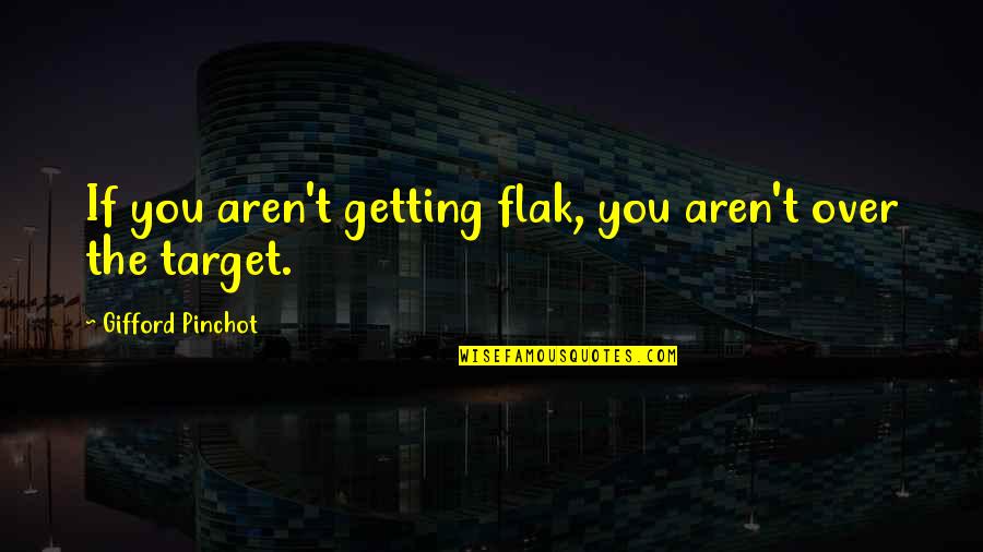 Dont Be Ashamed To Accept Quotes By Gifford Pinchot: If you aren't getting flak, you aren't over