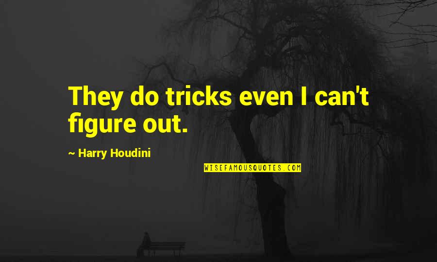 Don't Be Nosy Quotes By Harry Houdini: They do tricks even I can't figure out.