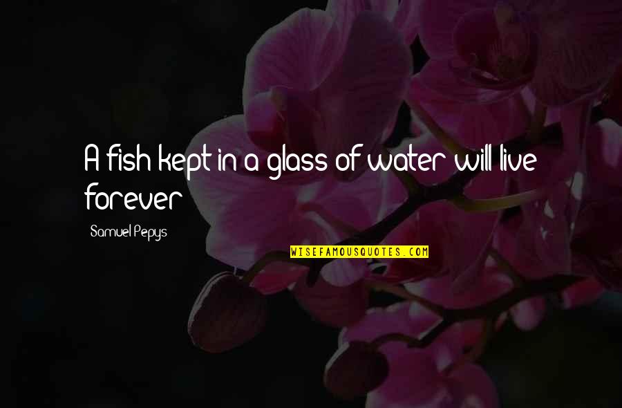 Don't Be Scared To Take A Risk Quotes By Samuel Pepys: A fish kept in a glass of water