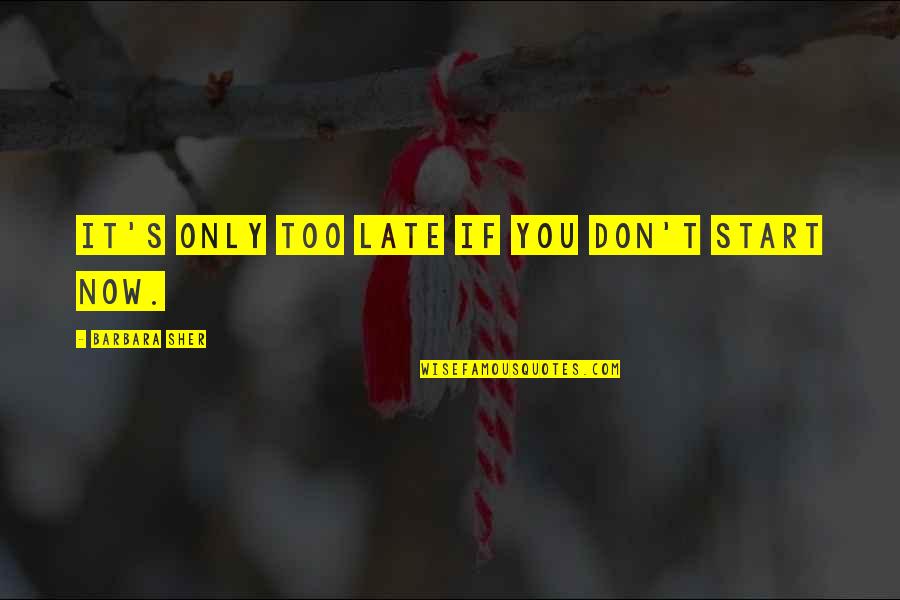 Don't Be Too Late Quotes By Barbara Sher: It's only too late if you don't start