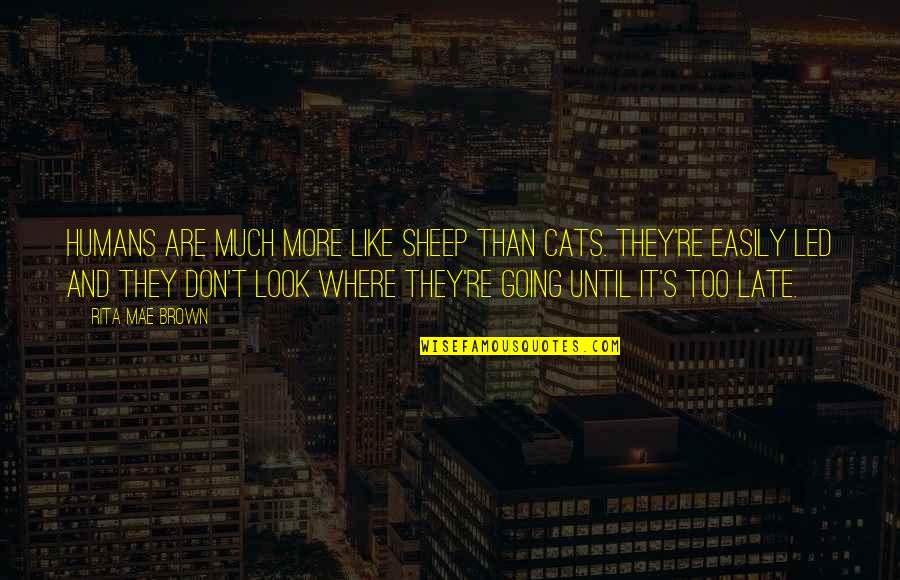 Don't Be Too Late Quotes By Rita Mae Brown: humans are much more like sheep than cats.