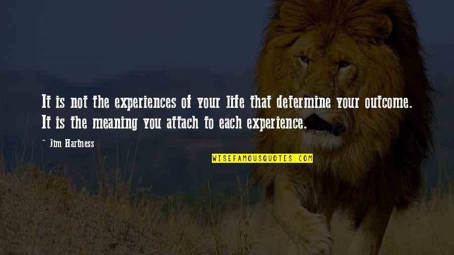 Don't Beg Friends Quotes By Jim Hartness: It is not the experiences of your life