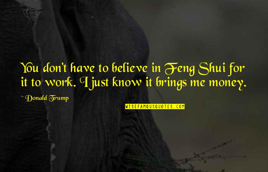 Don't Believe In Me Quotes By Donald Trump: You don't have to believe in Feng Shui