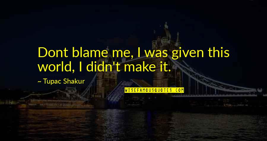 Dont Blame Other Quotes By Tupac Shakur: Dont blame me, I was given this world,