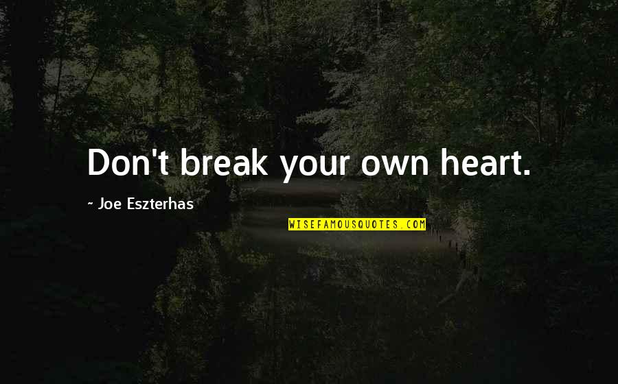 Don't Break Your Heart Quotes By Joe Eszterhas: Don't break your own heart.