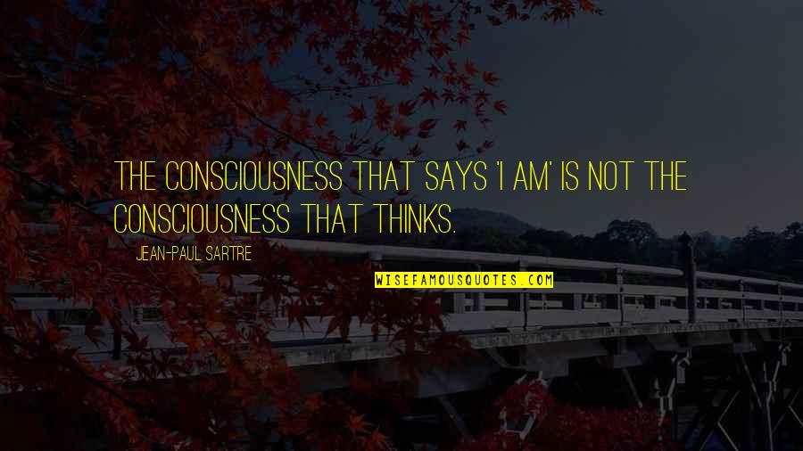 Dont Care For Anyone Quotes By Jean-Paul Sartre: The consciousness that says 'I am' is not Dont Care For Anyone Quotes By Jean-Paul Sartre: The consciousness that says 'I am' is not